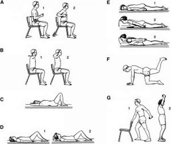 Упражнения для укрепления мышц после травмы спины
